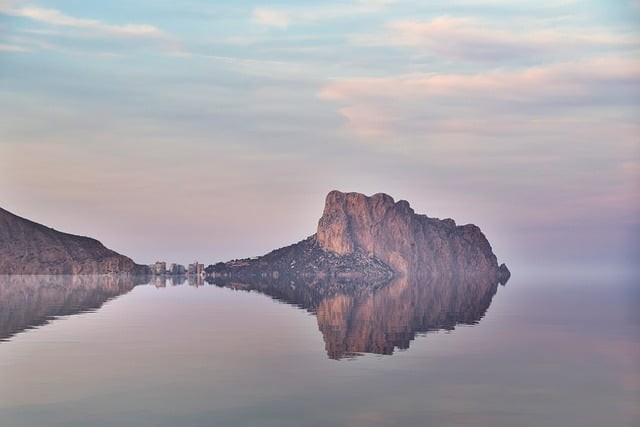 四川單招普高要分類嗎