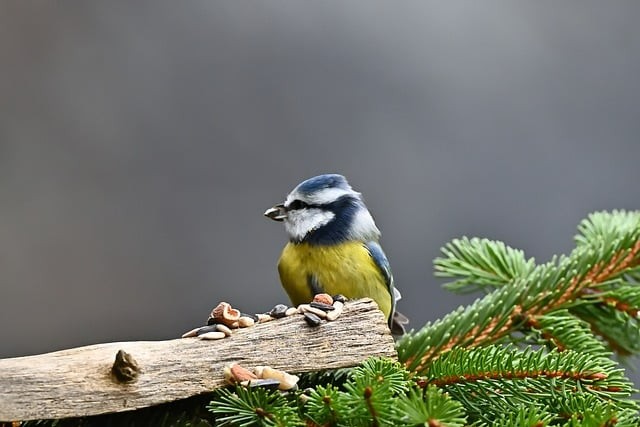 四川省礦產(chǎn)機(jī)電技師學(xué)院2024經(jīng)濟(jì)管理系招生計(jì)劃 四川省礦產(chǎn)機(jī)電技師學(xué)院2024經(jīng)濟(jì)管理系招生計(jì)劃