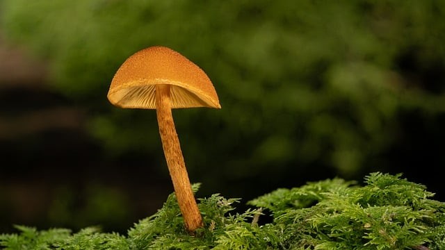 南充市華西中等職業(yè)技術(shù)學(xué)校2024招生簡介