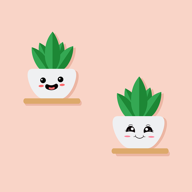 四川省師范大學(xué)實(shí)驗(yàn)外國(guó)語(yǔ)學(xué)校辦學(xué)特色