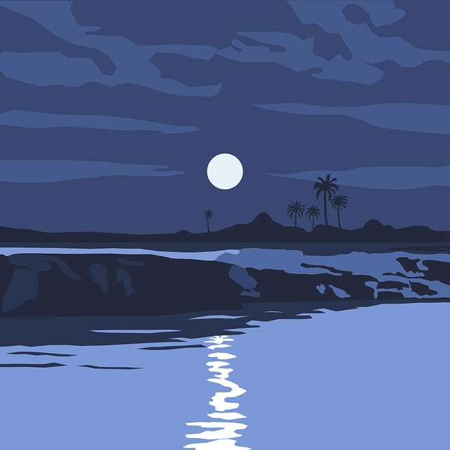 四川單招整個流程 四川單招整個流程