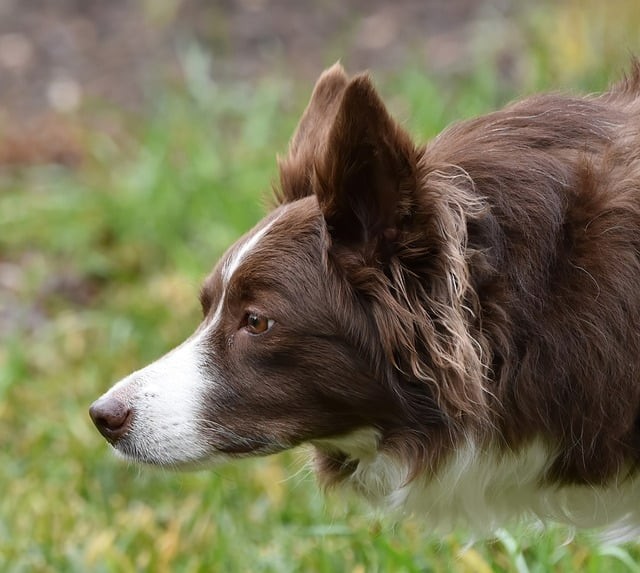 安縣職業(yè)中專學校2025年招生錄取分數(shù)線 安縣職業(yè)中專學校2025年招生錄取分數(shù)線