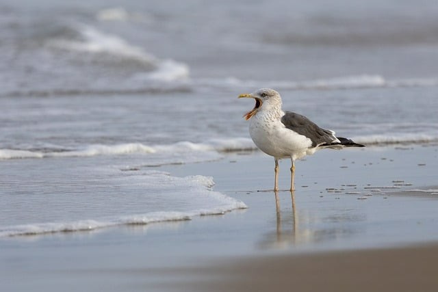 四川單招多久報(bào)學(xué)校啊