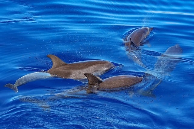 內(nèi)江泰來職業(yè)學(xué)校2025年錄取分?jǐn)?shù)線