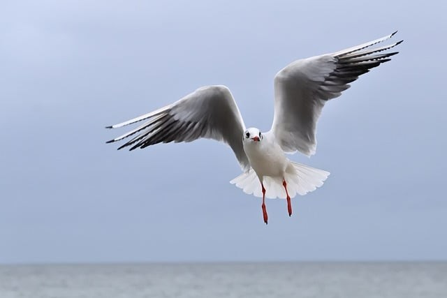 成都市廣播電視中等專業(yè)學(xué)校2025年招生錄取分?jǐn)?shù)線 成都市廣播電視中等專業(yè)學(xué)校2025年招生錄取分?jǐn)?shù)線