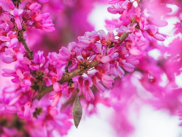 四川省達(dá)川中學(xué)2024招生簡介 四川省達(dá)川中學(xué)2024招生簡介