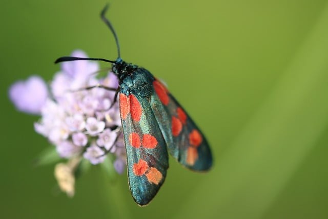 四川省檔案學(xué)校2025年春季招生簡介 四川省檔案學(xué)校2025年春季招生簡介