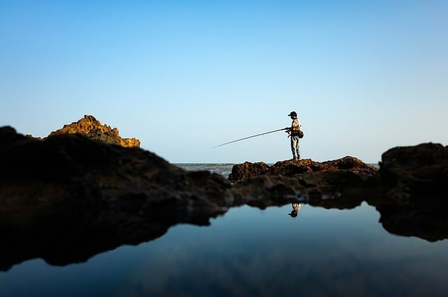 四川單招各學校專業(yè)查詢