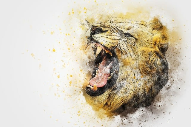 雅安職業(yè)技術(shù)學(xué)院教學(xué)模式怎么樣