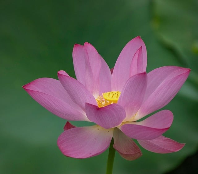 巴中市第三中學(xué)2024招生簡(jiǎn)介