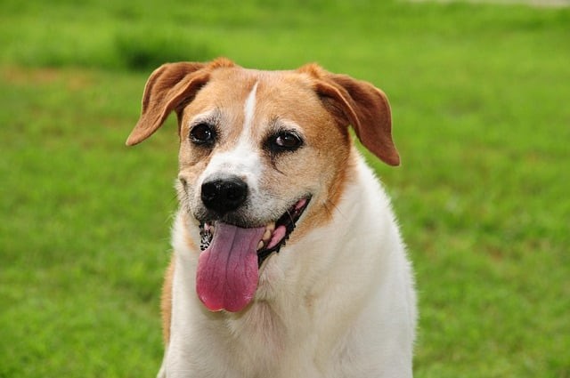 四川單招校企合作情況 四川單招校企合作情況