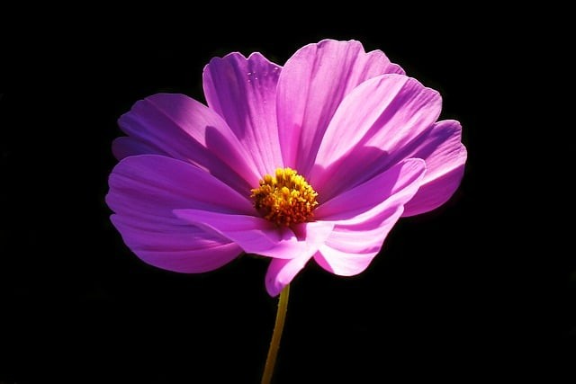 成都市科華職業(yè)技術(shù)學(xué)校助學(xué)獎學(xué)政策