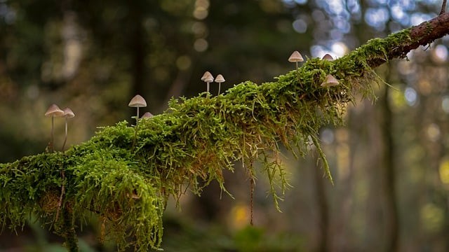 四川省鄰水縣職業(yè)中學(xué)2024春季招生簡(jiǎn)介 四川省鄰水縣職業(yè)中學(xué)2024春季招生簡(jiǎn)介