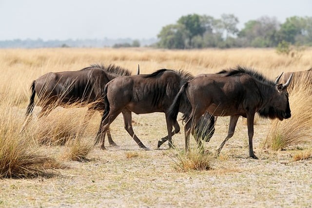 四川單招及時(shí)雨