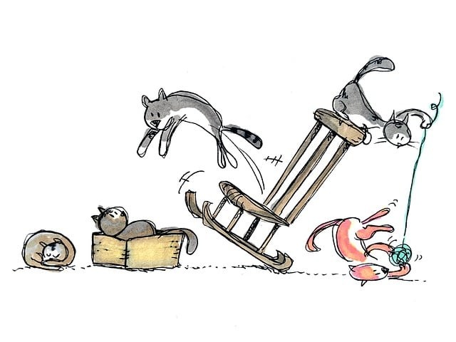 四川單招語文作文押題班，2020年四川單招考試語文作文