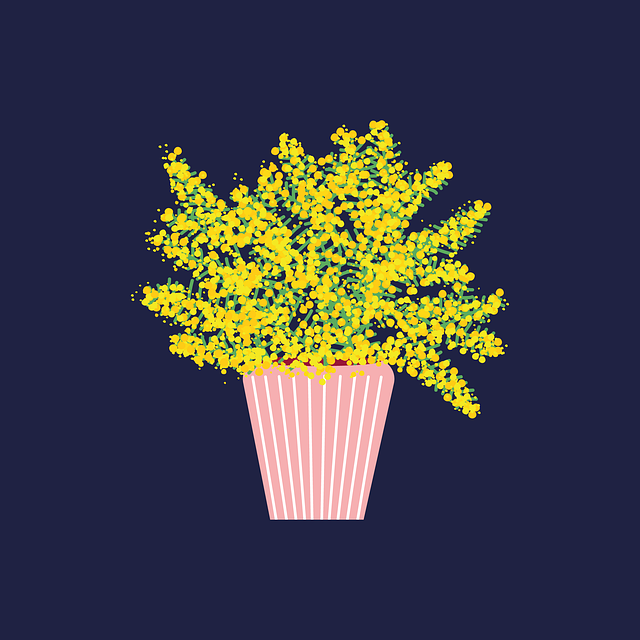 阿壩單招培訓(xùn)，阿壩單招培訓(xùn)機(jī)構(gòu)