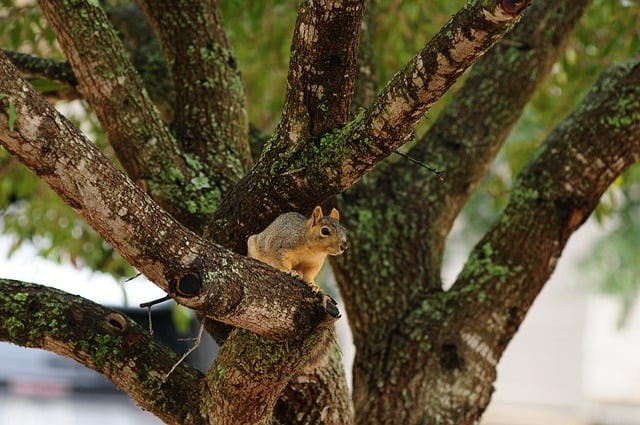 四川單招公辦護(hù)理院校