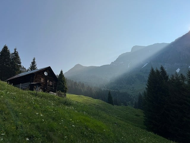 四川三河單招補(bǔ)錄分?jǐn)?shù)