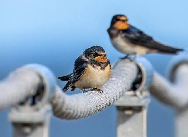男生選擇護(hù)士專業(yè)怎么樣 男生選擇護(hù)士專業(yè)怎么樣