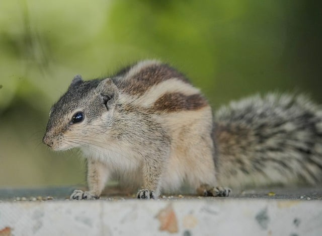 四川省天全職業(yè)高級中學2025年春季招生簡介 四川省天全職業(yè)高級中學2025年春季招生簡介