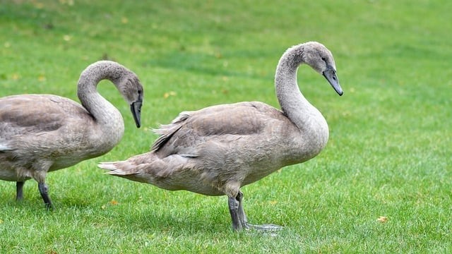 四川單招真實體驗