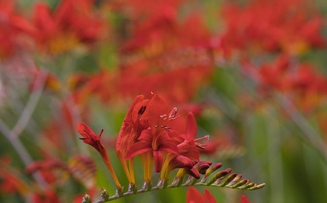 四川單招分文理專業(yè)