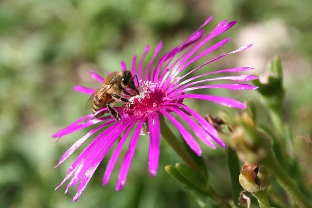 四川單招多久填完志愿 四川單招多久填完志愿