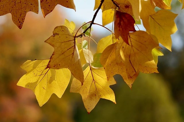 四川省南江縣第二中學(xué)辦學(xué)理念 四川省南江縣第二中學(xué)辦學(xué)理念