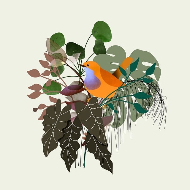 涼山單招培訓(xùn)含義，四川單招培訓(xùn)中心