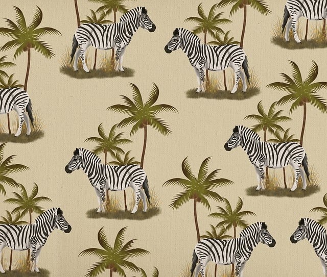 體育人的信念單招作文，體育人的信念記敘文