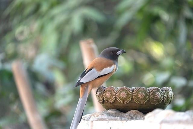 去年單招真題數(shù)學(xué)四川