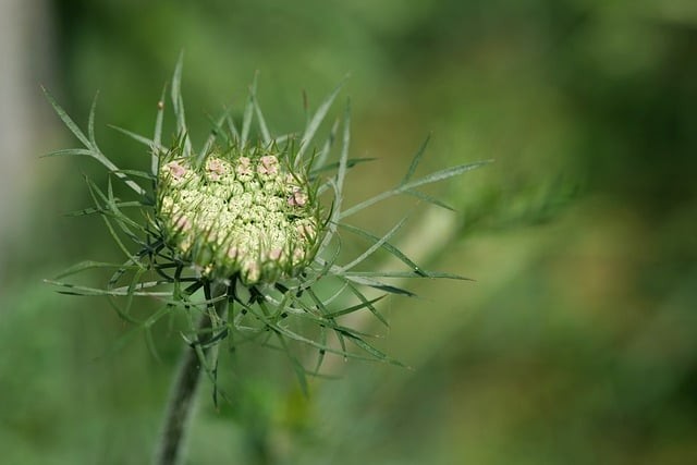 攀枝花衛(wèi)生學校2025年招生錄取分數(shù)線