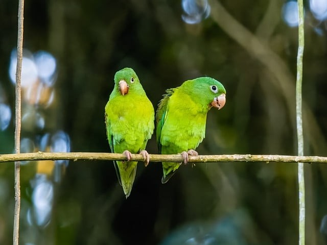 成都市溫江區(qū)燎原職業(yè)技術(shù)學(xué)校招生簡(jiǎn)介 成都市溫江區(qū)燎原職業(yè)技術(shù)學(xué)校招生簡(jiǎn)介