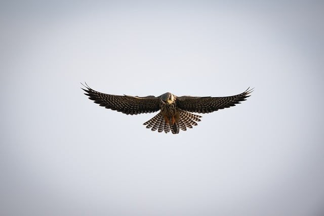 都江堰市職業(yè)中學(xué)2025年招生簡介