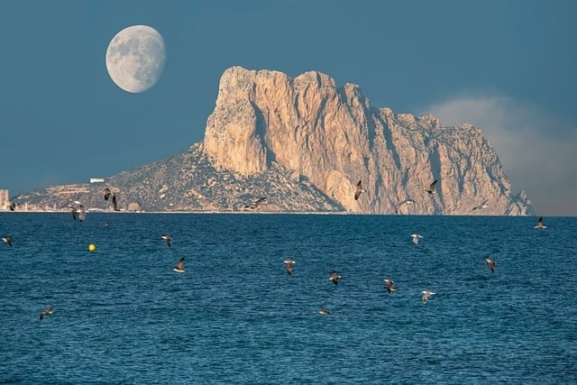 四川單招雙上線一般多少