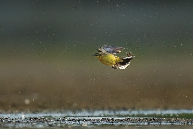 四川單招前100名 四川單招前100名
