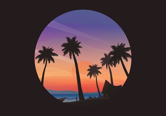 成都大學(xué)單招培訓(xùn)班地址，成都大學(xué)2021年單招分?jǐn)?shù)線