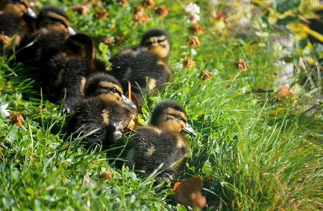 成都市機電工程學校就業(yè)情況怎么樣？學校地址在哪