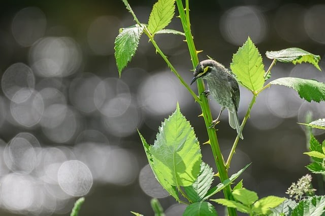 四川單招好久錄取啊