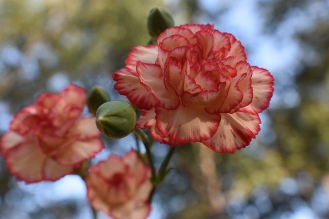 甘孜藏族自治州職業(yè)技術(shù)學(xué)校五年制大專2024招生簡(jiǎn)介「2024年更新」 甘孜藏族自治州職業(yè)技術(shù)學(xué)校五年制大專2024招生簡(jiǎn)介「2024年更新」