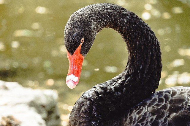 四川單招培訓(xùn)宿舍