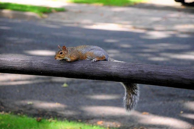 四川25年單招作文