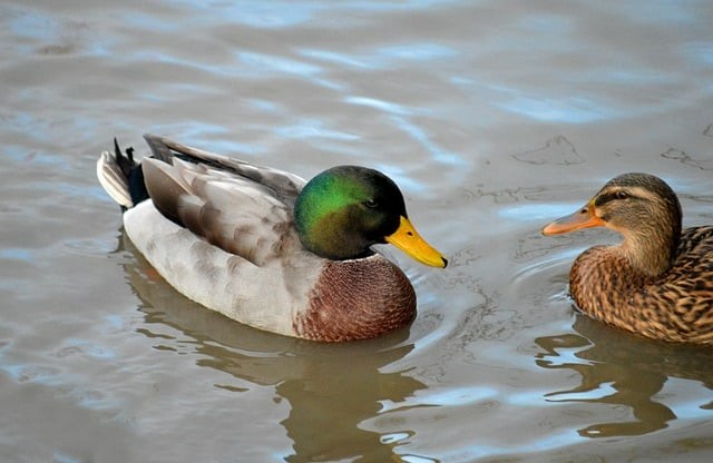 德陽電子工程學(xué)校2025年招生錄取分?jǐn)?shù)線