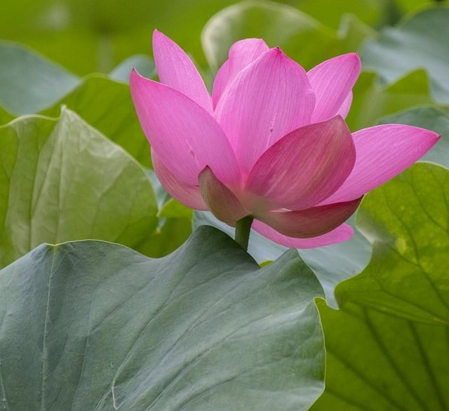 四川單招一百多分學(xué)校 四川單招一百多分學(xué)校