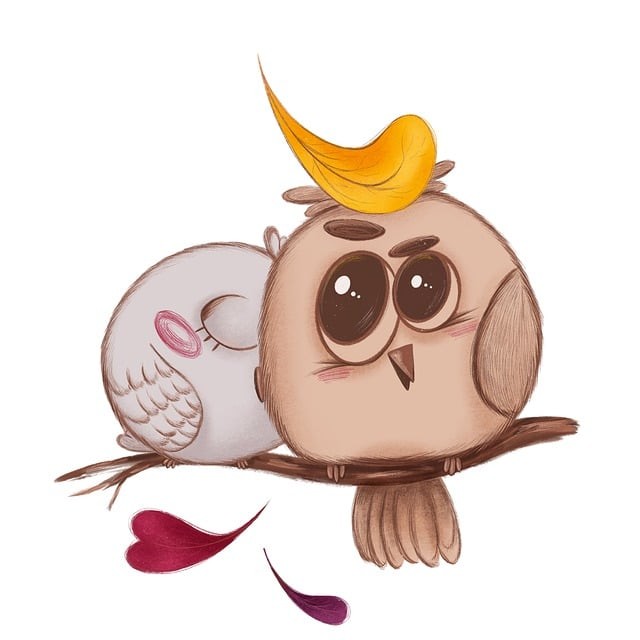 成都市衛(wèi)校高級護(hù)理專業(yè)和涉外護(hù)理專業(yè)有區(qū)別