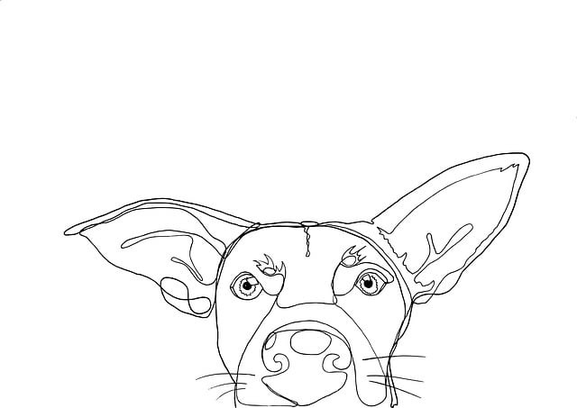 簡陽單招培訓(xùn)學(xué)校溫江，簡陽單招培訓(xùn)學(xué)校溫江分校