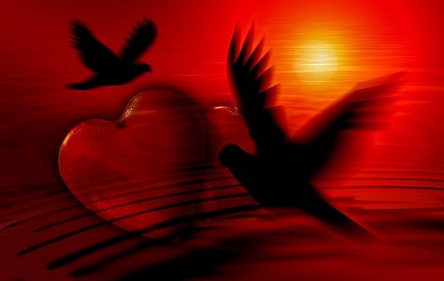 岑鞏縣中等職業(yè)學(xué)校校園環(huán)境如何，寢室好不好