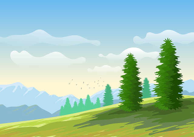 仁壽單招培訓班，仁壽單招培訓班哪家好