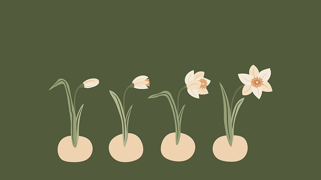 德陽啟航單招培訓(xùn)學校，德陽市單招培訓(xùn)學校