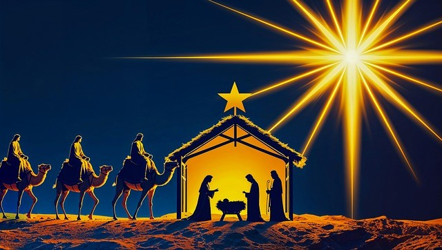 2024四川單招排行榜 2024四川單招排行榜